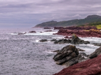 Tickle Cove